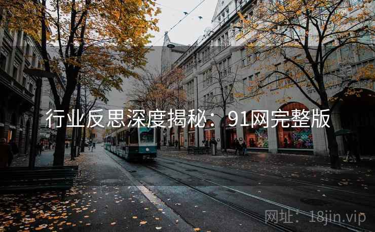 行业反思深度揭秘：91网完整版