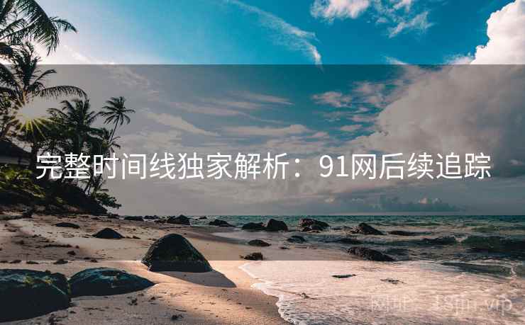完整时间线独家解析：91网后续追踪